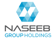 Naseeb Group logo