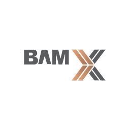 Bam Eskan Real Estate logo